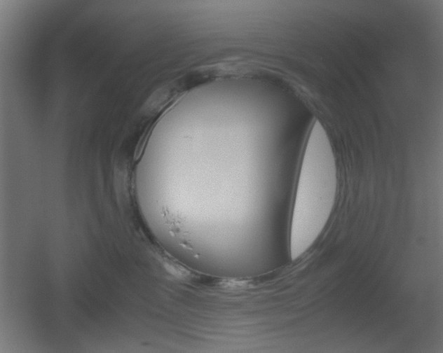 X0000051910333200506241110