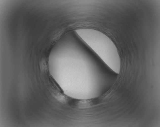 X0000051910335200506241109