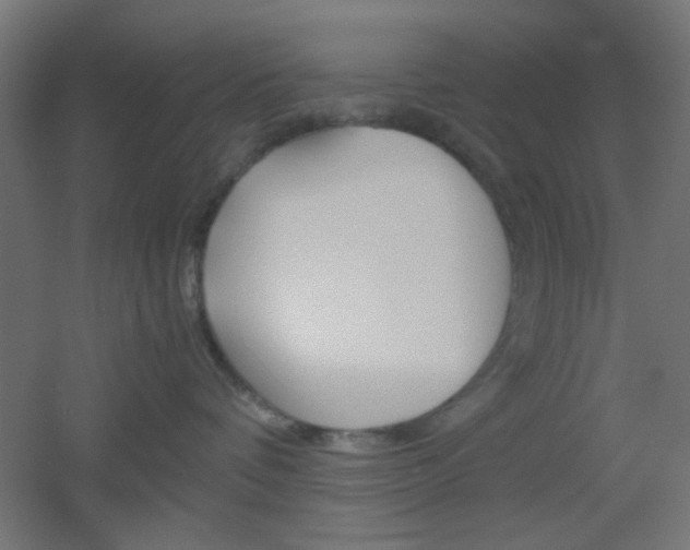 X0000051910336200506241109