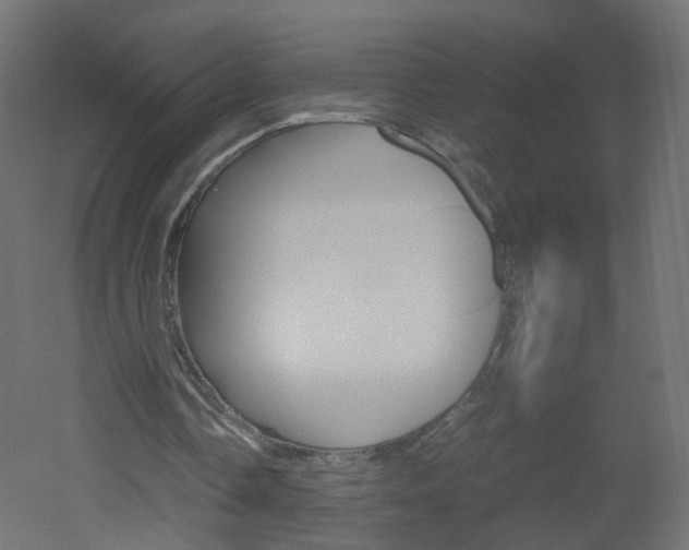 X0000051910338200506241109