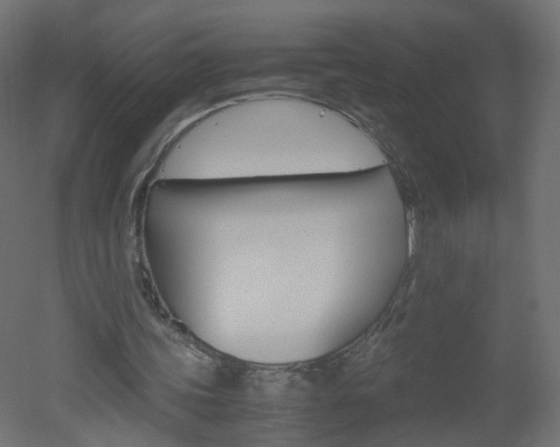 X0000051910339200506241109