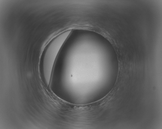 X0000051910340200506241109