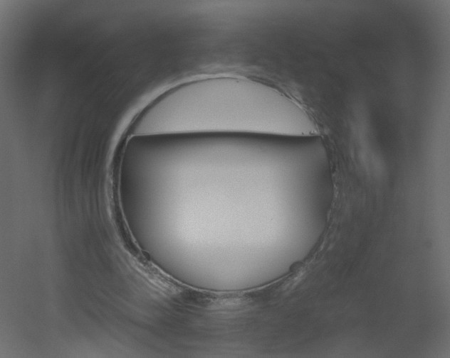 X0000051910342200506241109
