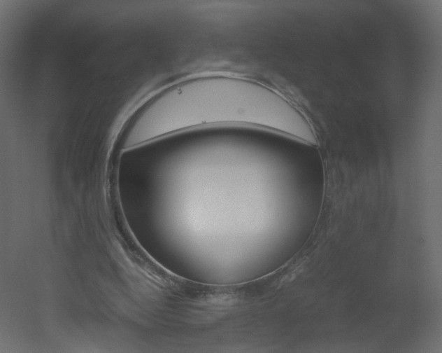 X0000051910344200506241109