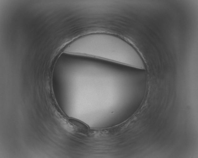 X0000051910345200506241109
