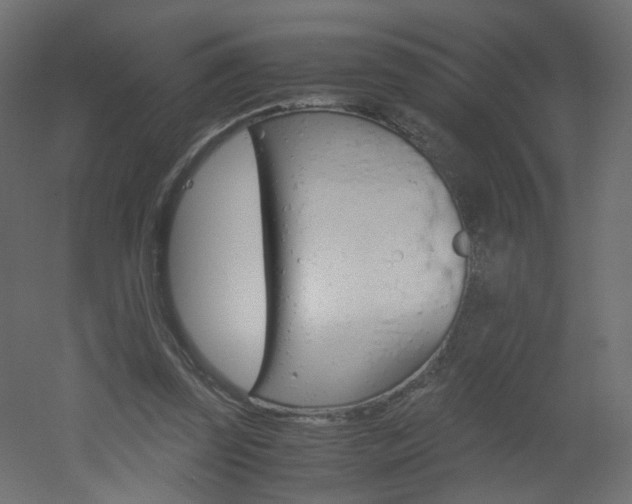 X0000051910347200506241109