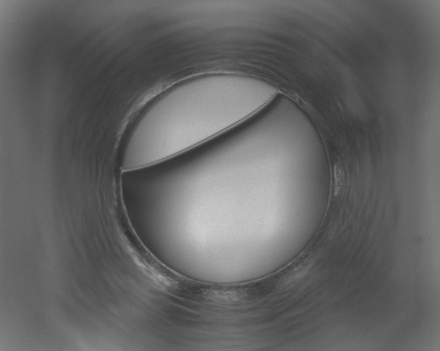 X0000051910349200506241109