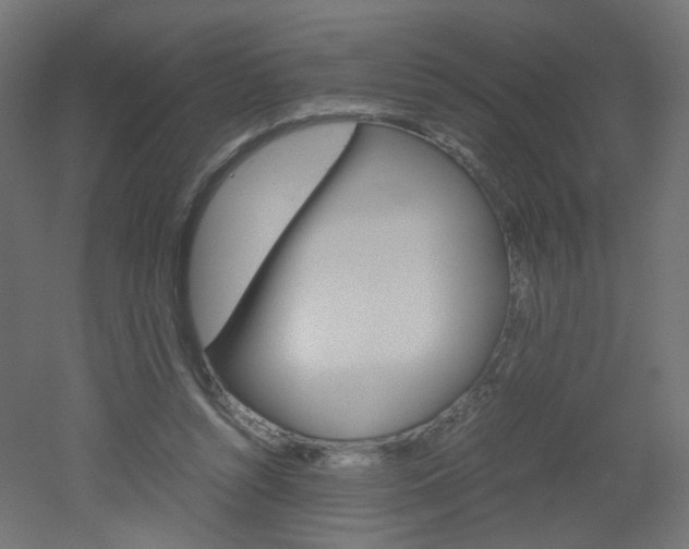 X0000051910352200506241109