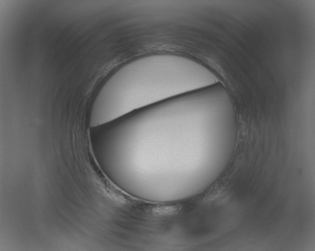 X0000051910357200506241109