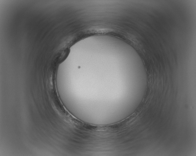 X0000051910358200506241109