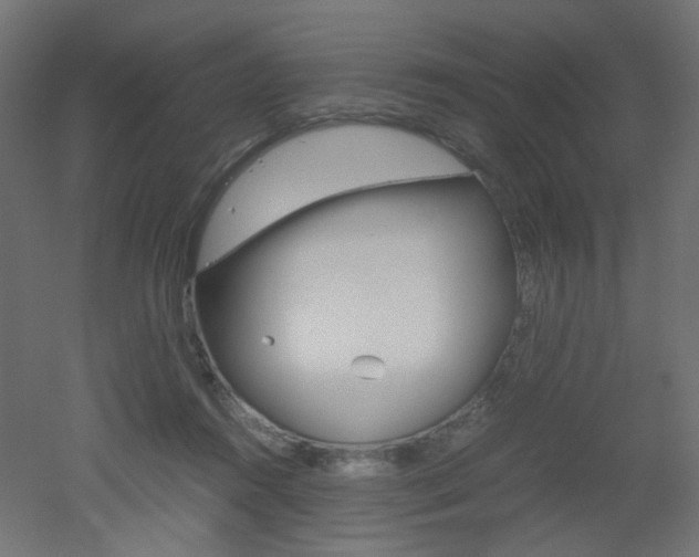 X0000051910360200506241109