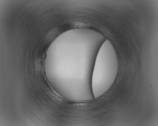 X0000051910361200506241109
