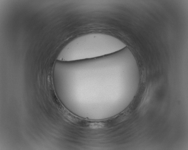 X0000051910363200506241109
