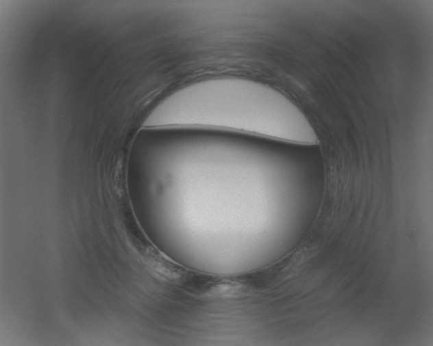 X0000051910364200506241109