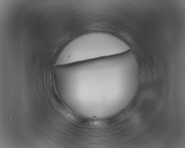 X0000051910365200506241109