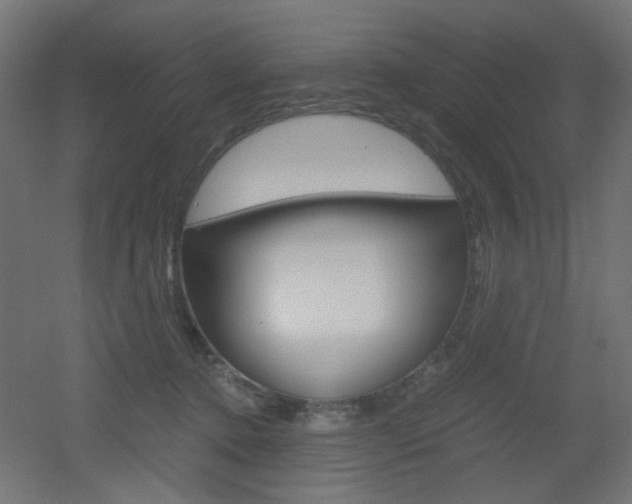 X0000051910368200506241109