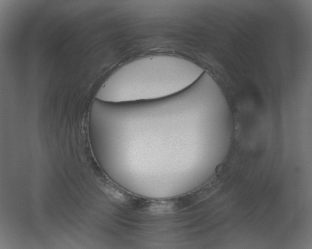X0000051910369200506241109