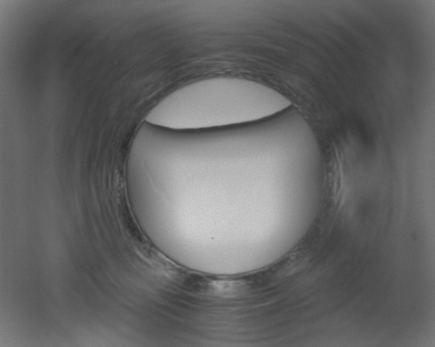 X0000051910371200506241109