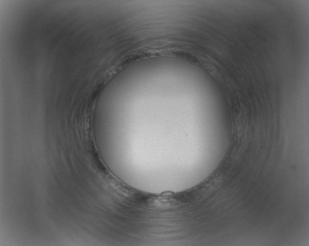X0000051910372200506241109