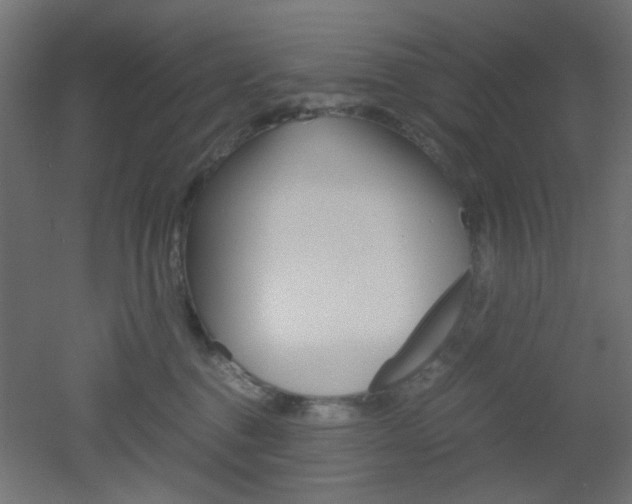 X0000051910376200506241109