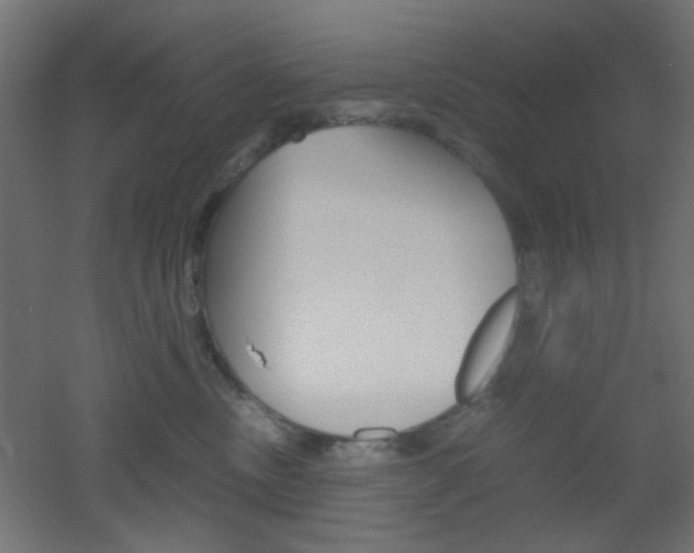 X0000051910378200506241109