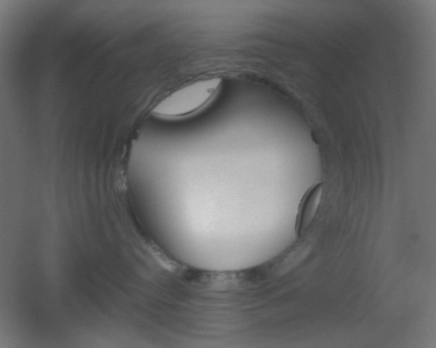 X0000051910384200506241109