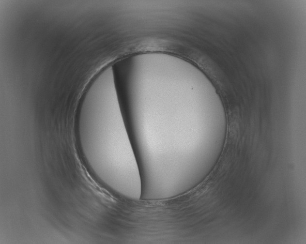 X0000051910386200506241109