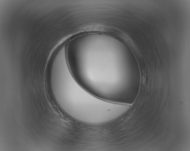 X0000051910388200506241109