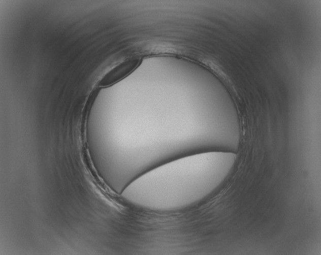 X0000051910390200506241109