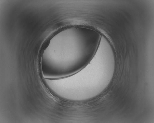 X0000051910391200506241109