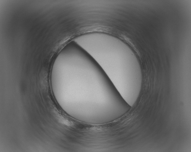 X0000051910394200506241108