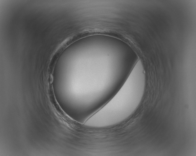 X0000051910395200506241108