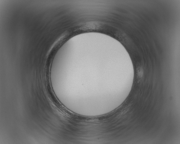X0000051910396200506241108