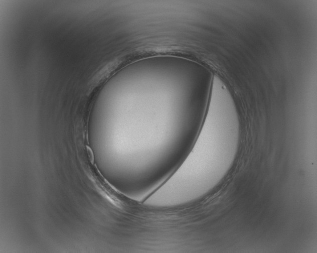 X0000051910397200506241108