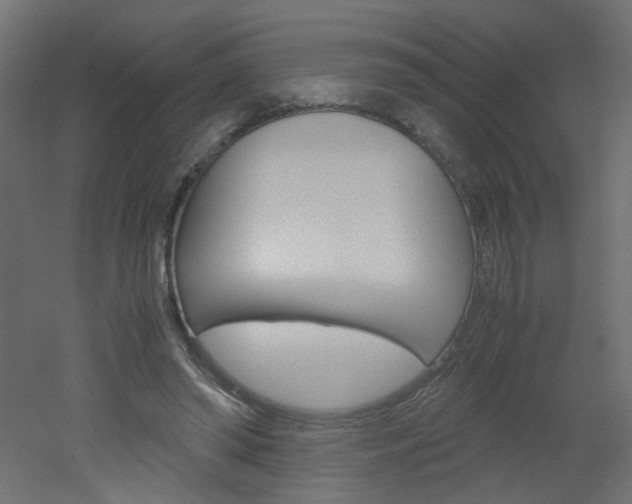 X0000051910398200506241108