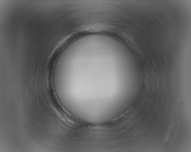 X0000051910400200506241108