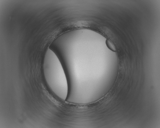 X0000051910402200506241108