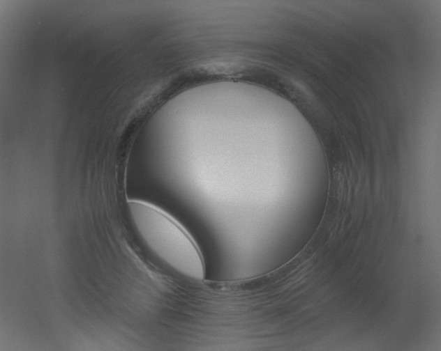 X0000051910404200506241108