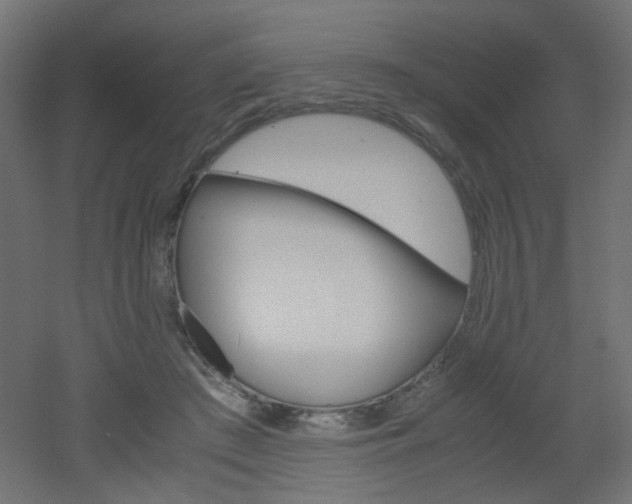 X0000051910409200506241108