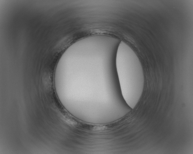 X0000051910410200506241108