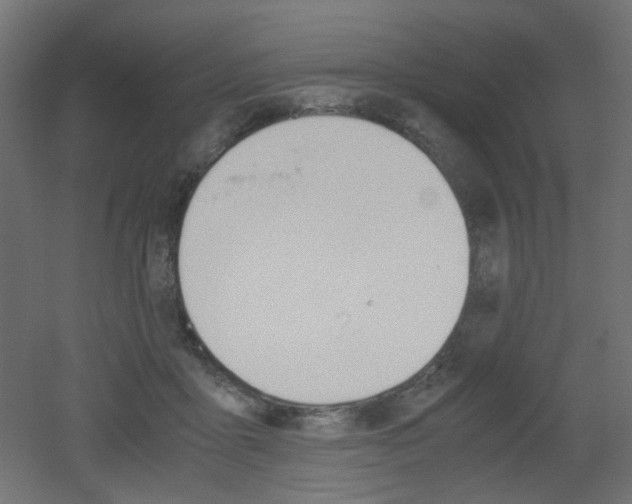 X0000051910411200506241108