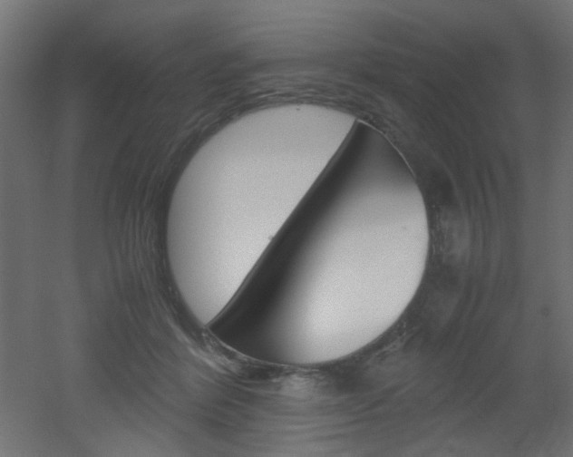 X0000051910412200506241108