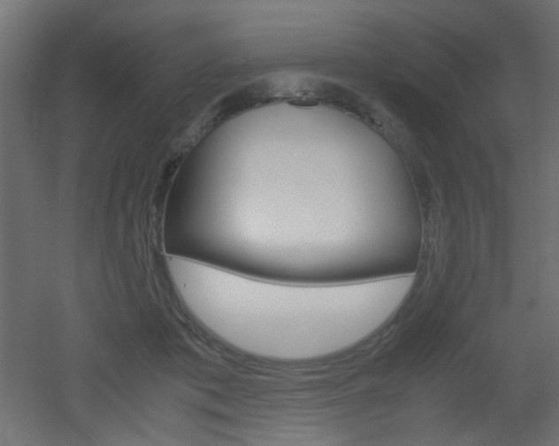 X0000051910413200506241108