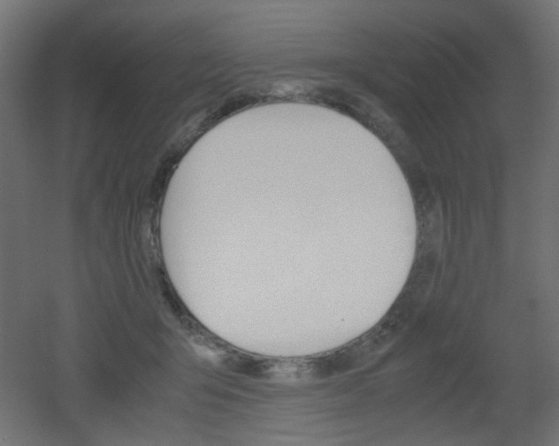 X0000051910415200506241108