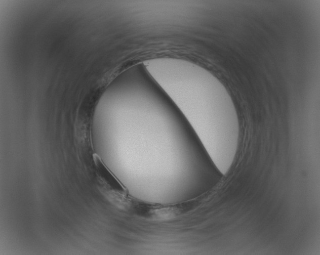 X0000051910417200506241108