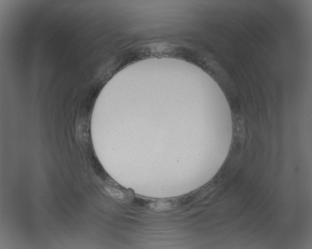 X0000051910419200506241108