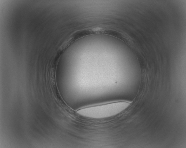 X0000051910421200506241108