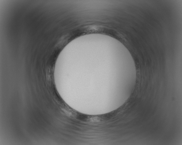 X0000051910423200506241108