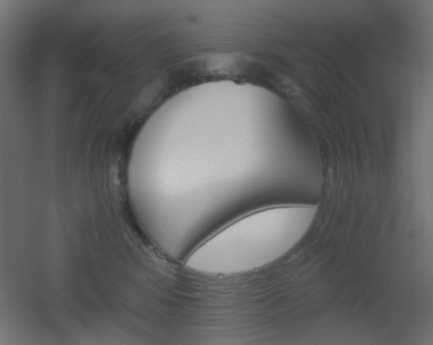 X0000051910424200506241108