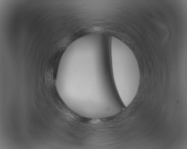 X0000051910425200506241108
